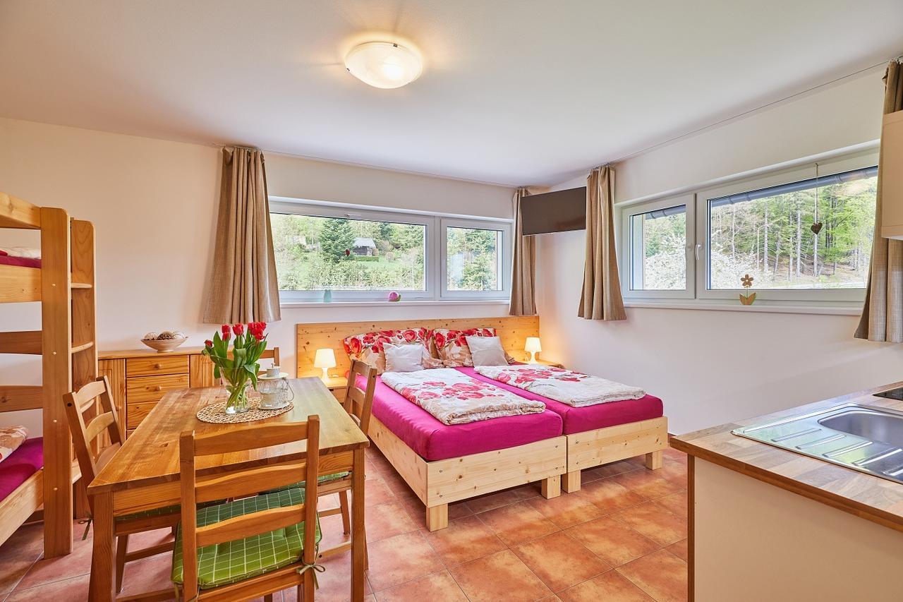 Skipension Janske Lazne Dış mekan fotoğraf